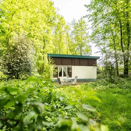 Beautiful Mansion On The Water Holiday home Beesel